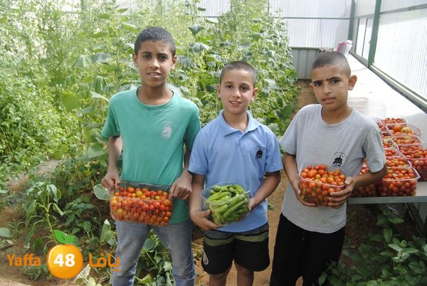 sooqelzahra2lud602 (15).JPG